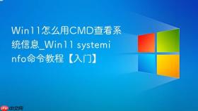 win11怎么用cmd查看系统信息_win11 systeminfo命令教程【入门】