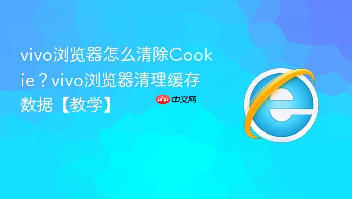 vivo浏览器怎么清除cookie？vivo浏览器清理缓存数据【教学】