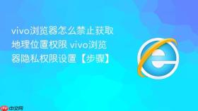 vivo浏览器怎么禁止获取地理位置权限 vivo浏览器隐私权限设置【步骤】