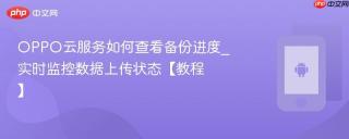 OPPO云服务如何查看备份进度_实时监控数据上传状态【教程】