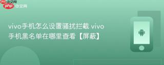 vivo手机怎么设置骚扰拦截 vivo手机黑名单在哪里查看【屏蔽】