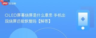 OLED屏幕烧屏是什么意思 手机出现烧屏还能恢复吗【解答】