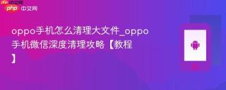 oppo手机怎么清理大文件_oppo手机微信深度清理攻略【教程】