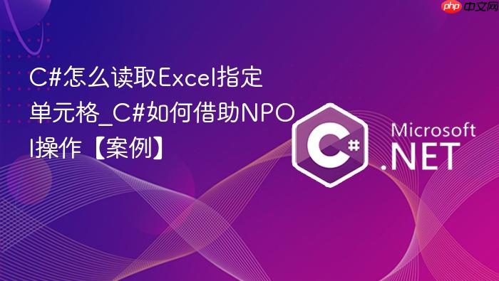c#怎么读取excel指定单元格_c#如何借助npoi操作【案例】