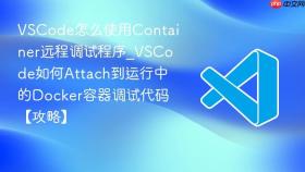 vscode怎么使用container远程调试程序_vscode如何attach到运行中的docker容器调试代码【攻略】