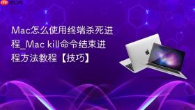 mac怎么使用终端杀死进程_mac kill命令结束进程方法教程【技巧】