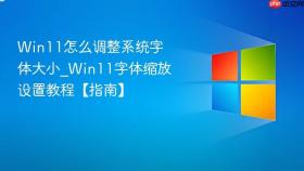 win11怎么调整系统字体大小_win11字体缩放设置教程【指南】