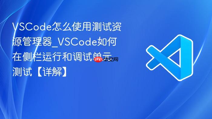 vscode怎么使用测试资源管理器_vscode如何在侧栏运行和调试单元测试【详解】