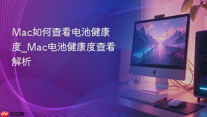 mac如何查看电池健康度_mac电池健康度查看解析