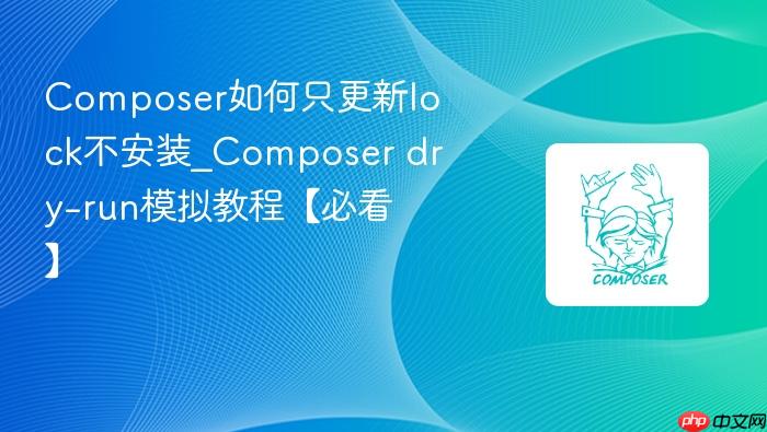 composer如何只更新lock不安装_composer dry-run模拟教程【必看】