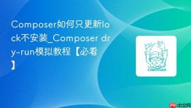 composer如何只更新lock不安装_composer dry-run模拟教程【必看】