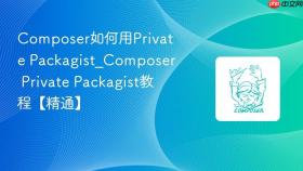 composer如何用private packagist_composer private packagist教程【精通】
