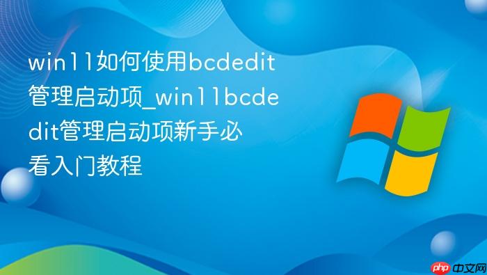 win11如何使用bcdedit管理启动项_win11bcdedit管理启动项新手必看入门教程