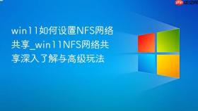 win11如何设置nfs网络共享_win11nfs网络共享深入了解与高级玩法