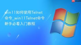 win11如何使用telnet命令_win11telnet命令新手必看入门教程