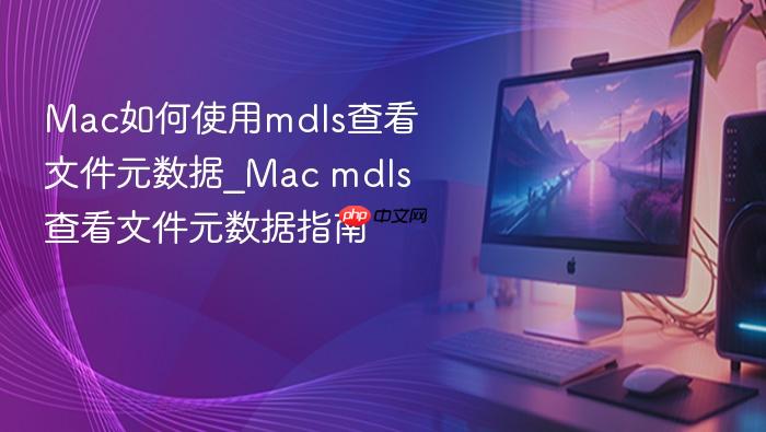 mac如何使用mdls查看文件元数据_mac mdls查看文件元数据指南