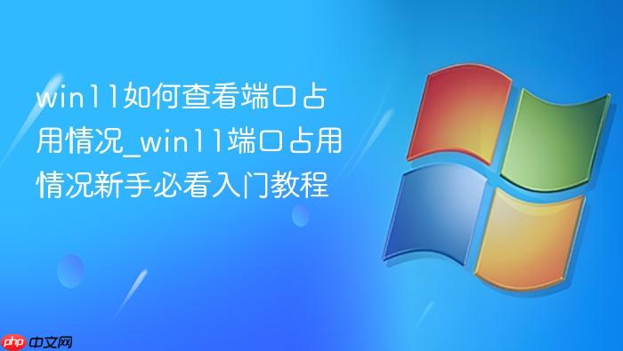 win11如何查看端口占用情况_win11端口占用情况新手必看入门教程