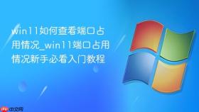 win11如何查看端口占用情况_win11端口占用情况新手必看入门教程