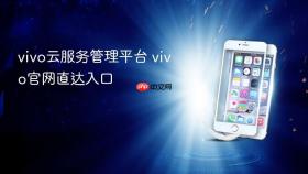 vivo云服务管理平台 vivo官网直达入口