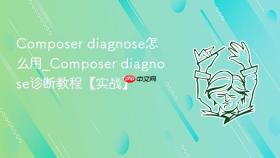 composer diagnose怎么用_composer diagnose诊断教程【实战】