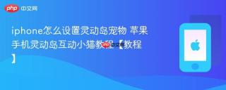 iphone怎么设置灵动岛宠物 苹果手机灵动岛互动小猫教程【教程】