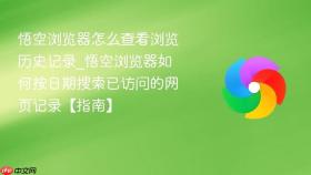 悟空浏览器怎么查看浏览历史记录_悟空浏览器如何按日期搜索已访问的网页记录【指南】