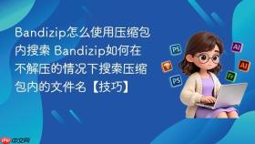 Bandizip怎么使用压缩包内搜索 Bandizip如何在不解压的情况下搜索压缩包内的文件名【技巧】