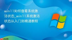 win11如何查看系统激活状态_win11系统激活状态从入门到精通教程