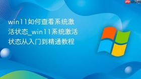 win11如何查看系统激活状态_win11系统激活状态从入门到精通教程