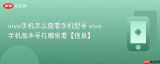 vivo手机怎么查看手机型号 vivo手机版本号在哪里看【信息】