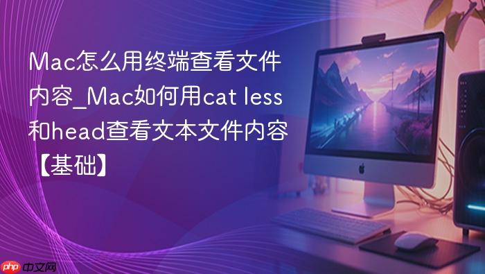 mac怎么用终端查看文件内容_mac如何用cat less和head查看文本文件内容【基础】
