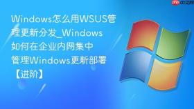 windows怎么用wsus管理更新分发_windows如何在企业内网集中管理windows更新部署【进阶】