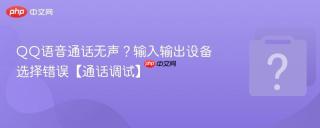 qq语音通话无声?输入输出设备选择错误【通话调试】