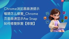 chrome浏览器崩溃提示喔唷怎么修复_chrome页面崩溃显示aw snap如何修复恢复【修复】
