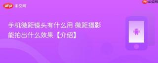 手机微距镜头有什么用 微距摄影能拍出什么效果【介绍】