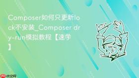composer如何只更新lock不安装_composer dry-run模拟教程【速学】