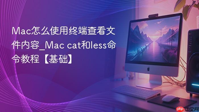 mac怎么使用终端查看文件内容_mac cat和less命令教程【基础】