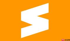 Sublime Text如何使用SublimeLinter配置golangci-lint_Sublime SublimeLinter配置golangci-lint详解