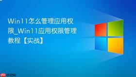 win11怎么管理应用权限_win11应用权限管理教程【实战】