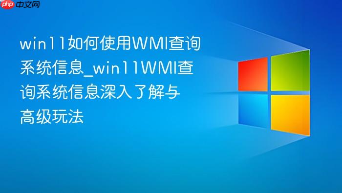 win11如何使用wmi查询系统信息_win11wmi查询系统信息深入了解与高级玩法