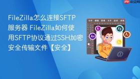 filezilla怎么连接sftp服务器 filezilla如何使用sftp协议通过ssh加密安全传输文件【安全】
