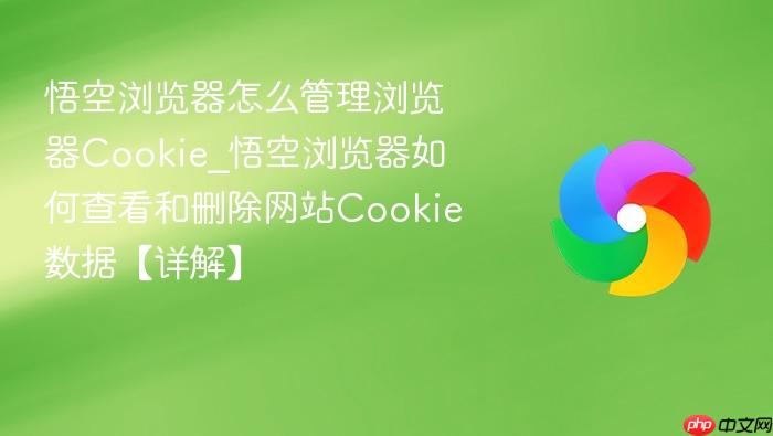 悟空浏览器怎么管理浏览器cookie_悟空浏览器如何查看和删除网站cookie数据【详解】