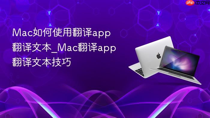 mac如何使用翻译app翻译文本_mac翻译app翻译文本技巧