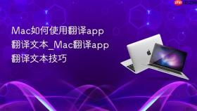 mac如何使用翻译app翻译文本_mac翻译app翻译文本技巧