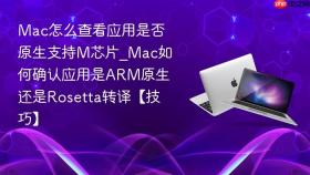 mac怎么查看应用是否原生支持m芯片_mac如何确认应用是arm原生还是rosetta转译【技巧】