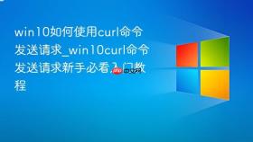 win10如何使用curl命令发送请求_win10curl命令发送请求新手必看入门教程
