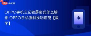 OPPO手机忘记锁屏密码怎么解锁 OPPO手机强制找回密码【教学】