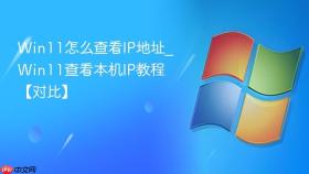 win11怎么查看ip地址_win11查看本机ip教程【对比】