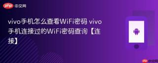 vivo手机怎么查看WiFi密码 vivo手机连接过的WiFi密码查询【连接】