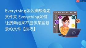 everything怎么排除指定文件夹 everything如何让搜索结果不显示某些目录的文件【技巧】